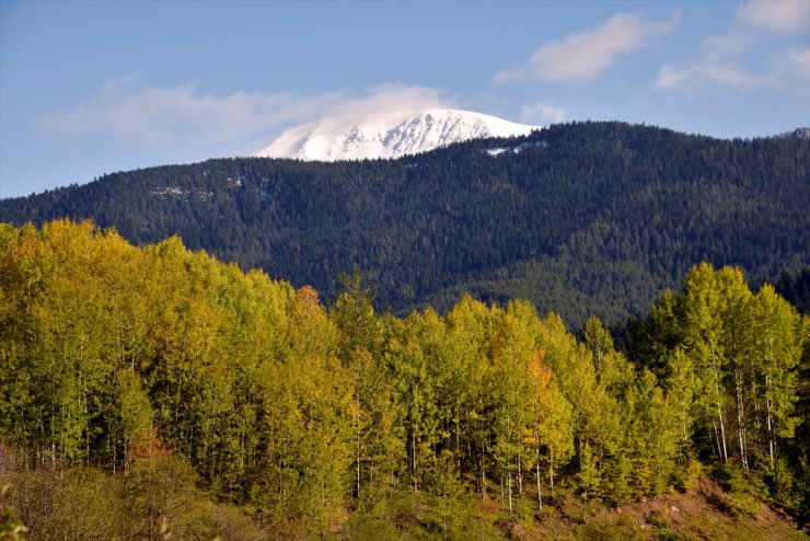 "Anadolu'nun yüce dağı" Ilgaz'da kış ve sonbahar aynı anda yaşanıyor