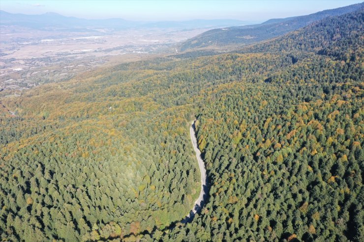 Gölcük Tabiat Parkı ve çevresi hazan mevsiminin renkleriyle süslendi