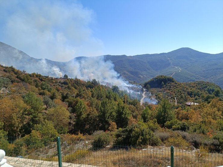 Alanya'da zirai alanda çıkan yangın kontrol altına alındı