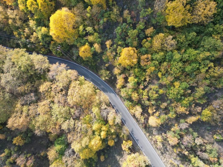 Tekirdağ'da Ganos Dağı eteklerindeki ormanlar hazan mevsiminin renklerine büründü