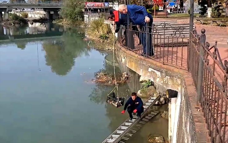 Zonguldak'ta çayda mahsur kalan kedi itfaiye merdiveniyle kurtarıldı