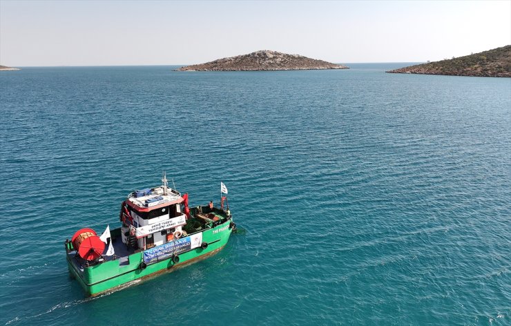 Mersin Körfezi'nde deniz yüzeyinde biriken atıklar toplandı