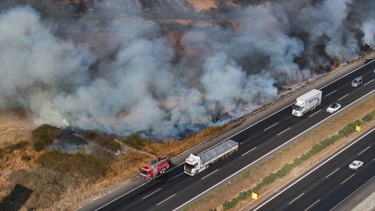 Adana'da ağaçlık alanda çıkan yangın söndürüldü