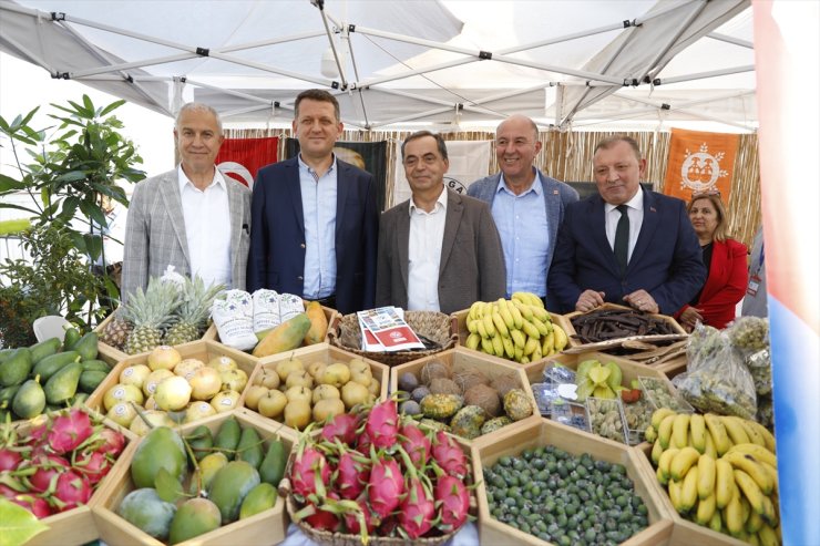 Alanya Tropikal Meyve Festivali başladı