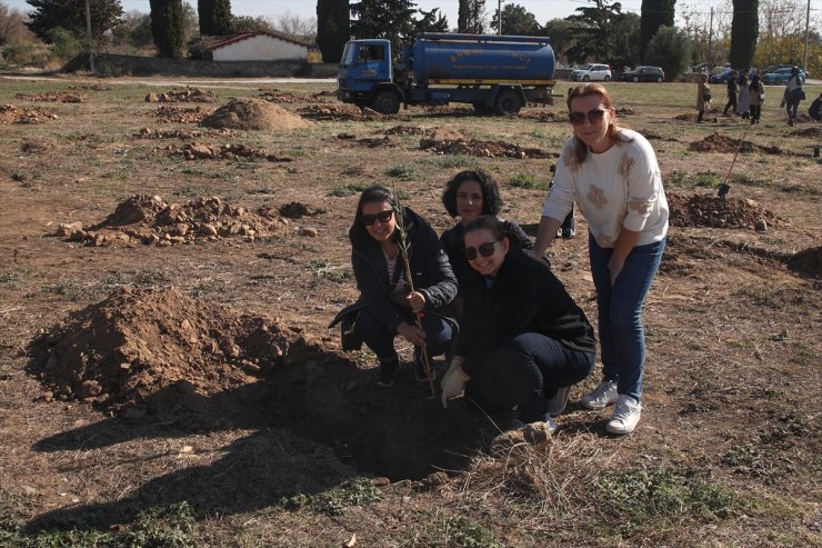 Batı Trakya Türkleri, yangınlardan etkilenen bölgelere fidan dikiyor