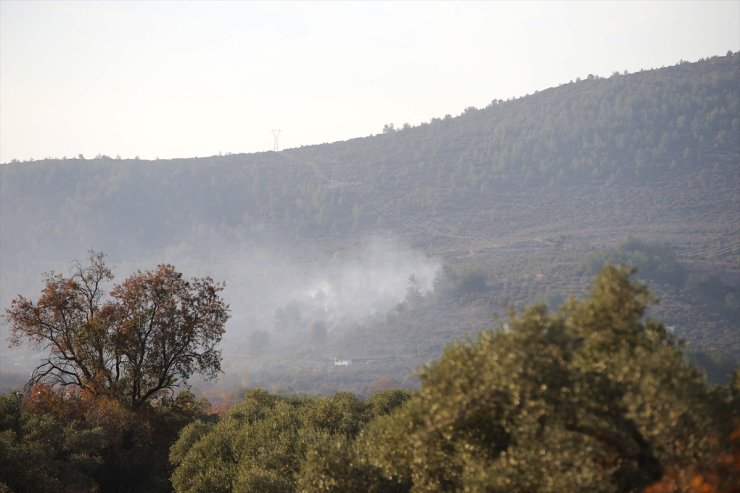 GÜNCELLEME - Muğla'da ormanlık ve zeytinlik alanda çıkan yangın kontrol altına alındı