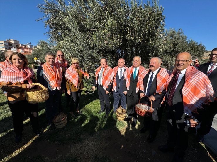 İzmir'de zeytin ve zeytinyağı sezon açılış töreni yapıldı