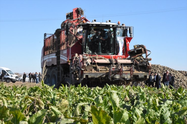 TZOB Genel Başkanı Şemsi Bayraktar, Aksaray'da şeker pancarı hasadına katıldı: