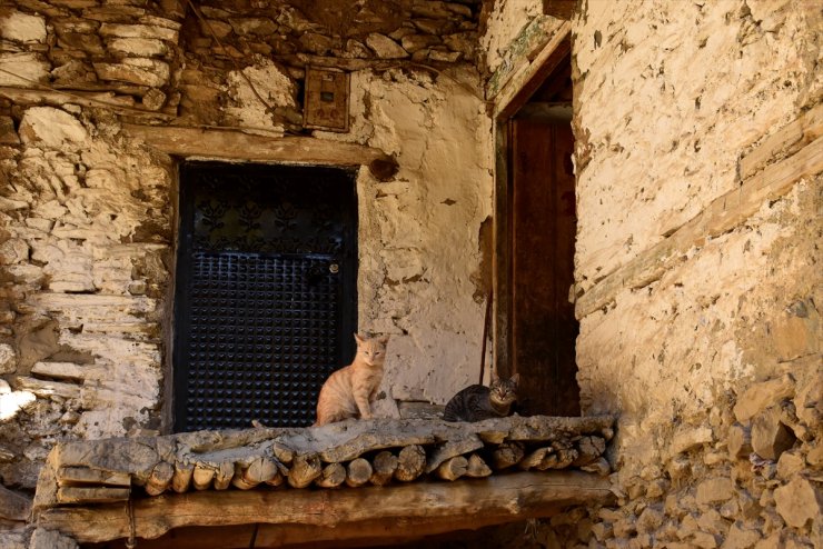 Bitlis'teki taş evlerde sonbahar güzelliği