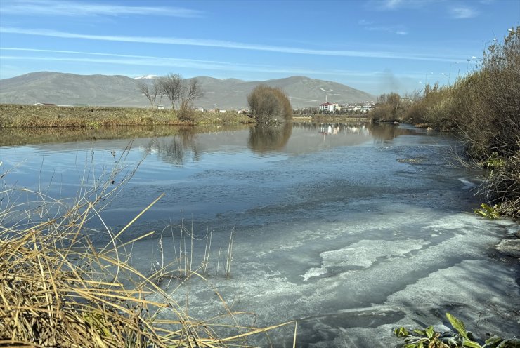 Ardahan'da soğuk hava nedeniyle Kura Nehri'nin yüzeyi buz tuttu