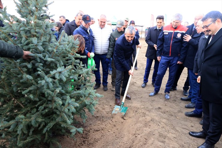 Trakya'da "Milli Ağaçlandırma Günü" dolayısıyla fidanlar toprakla buluşturuldu