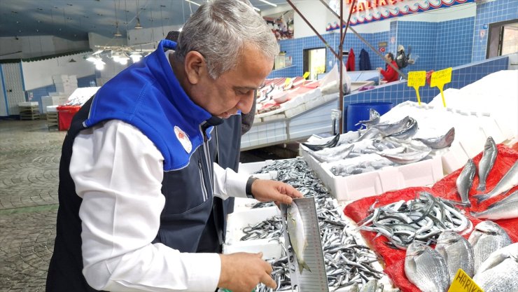 Samsun'da boy limitinin altında balık avlayanlara yaklaşık 2 milyon lira ceza kesildi