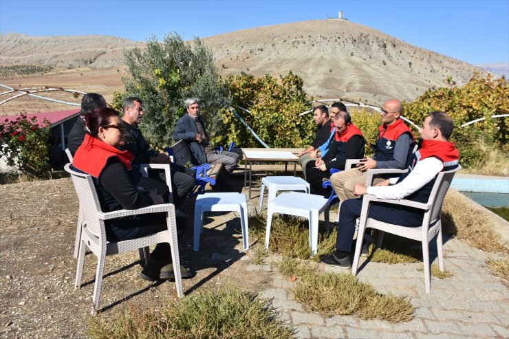 Şırnak'ta Cudi Dağı eteklerindeki bahçede yetiştirilen Trabzon hurmasında hasat yapıldı