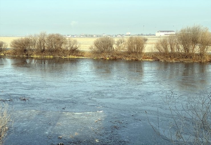 Kars ve Ardahan'da soğuk hava yaşamı olumsuz etkiliyor