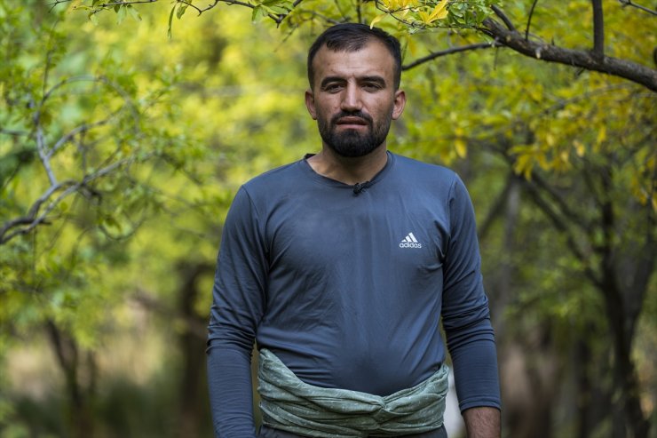 Iraklı çiftçiler, Duhok'ta lezzetiyle ünlü narın hasadına başladı