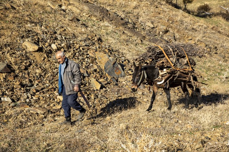 Sonbahar renklerine bürünen Bitlis'in köyleri fotoğrafçıları ağırladı