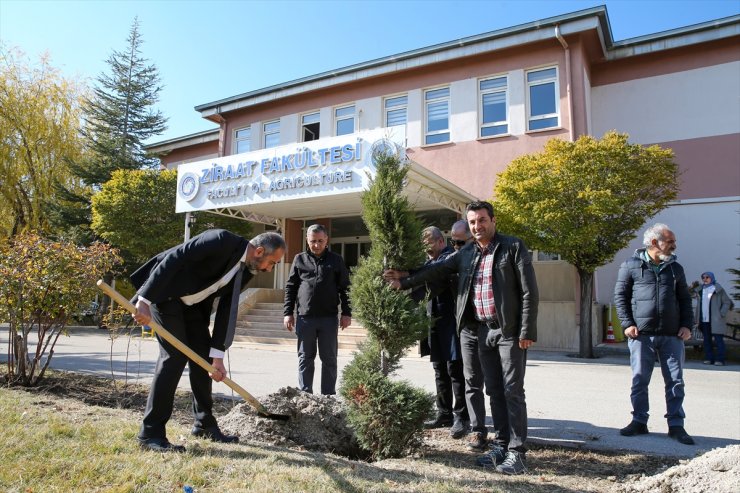 Van'da akademisyenler ve öğrenciler fidan dikti