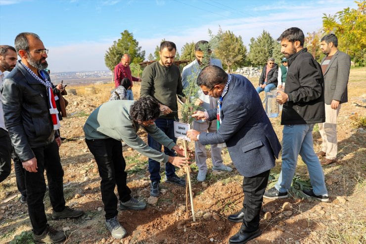 Diyarbakır'da, İsrail'in saldırılarında hayatını kaybeden Filistinliler anısına fidan dikildi