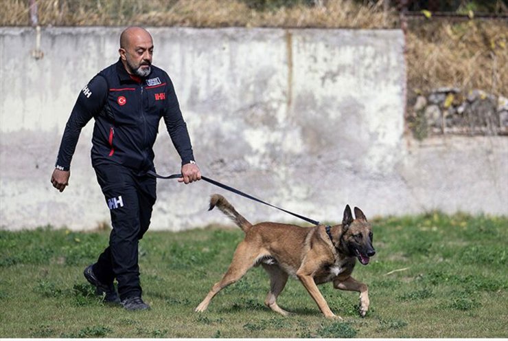 İHH arama kurtarma köpeği ve eğitmeni 122 arama timi arasında birinci oldu