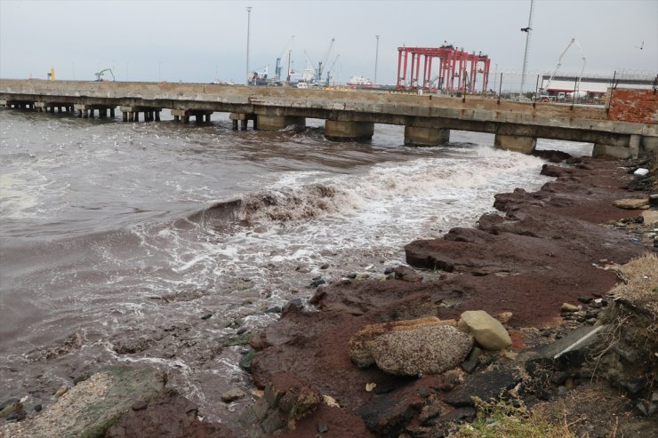 Tekirdağ'da poyraz nedeniyle sahilde kırmızı yosun birikti