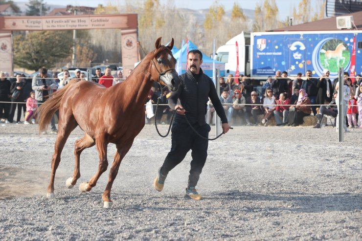 Ürgüp'te "at güzellik yarışması" yapıldı