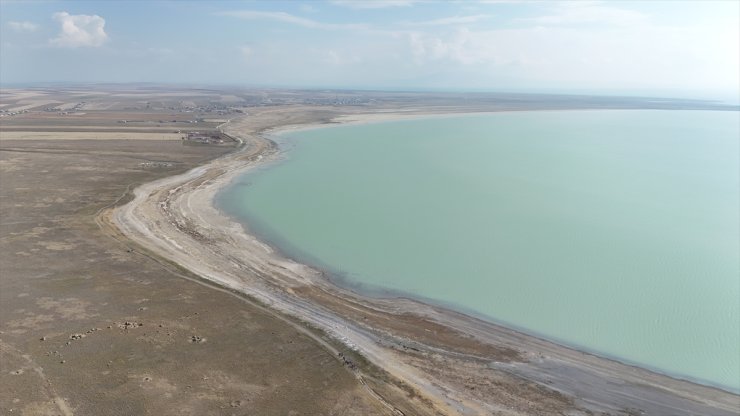 Doğaseverler Arin Gölü kıyısında yürüyüş yaptı