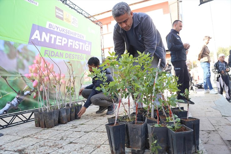 Konya'da Antep fıstığı üretimi için çiftçiye destek