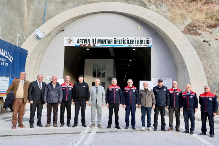 Artvin Valisi Ergün, istiridye mantarı paketleme tesisine dönüştürülen tünelde incelemede bulundu: