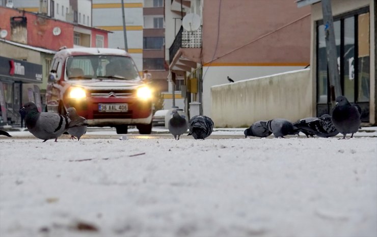 Kars, Ardahan, Ağrı ve Tunceli'de kar yağışı etkili oldu