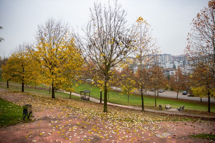 Sakarya kent merkezindeki parklar güz renkleriyle hareketlendi