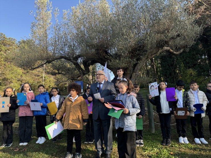 Sarıyer'de 1000 yıllık zeytin ağacında çocuk hakları şiirleri seslendirildi