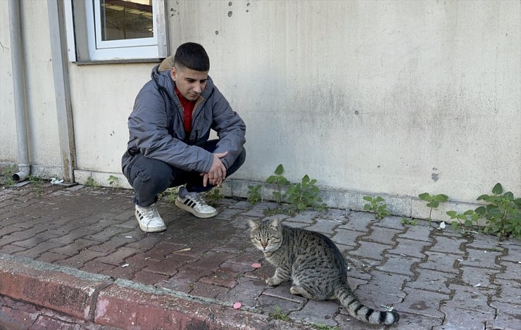 Adana'da kedinin, işçinin öğle yemeğini alıp kaçması kamerada