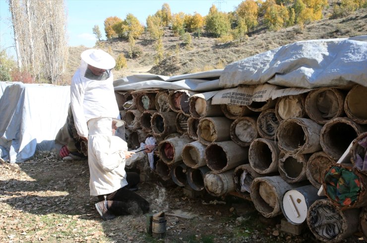 Bitlis'te hasadı yapılan karakovan balı yurt dışından alıcı buluyor