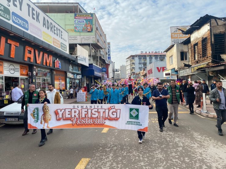 Osmaniye'de "Yer Fıstığı Festivali" başladı