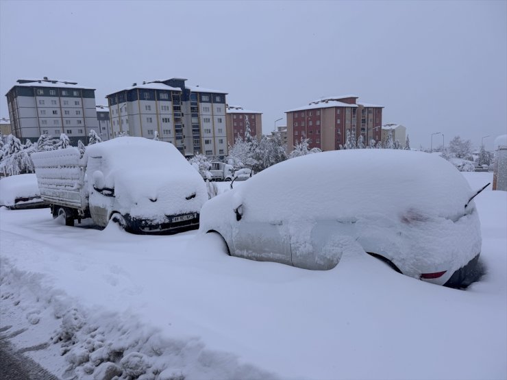 Malatya'da kar etkili oldu