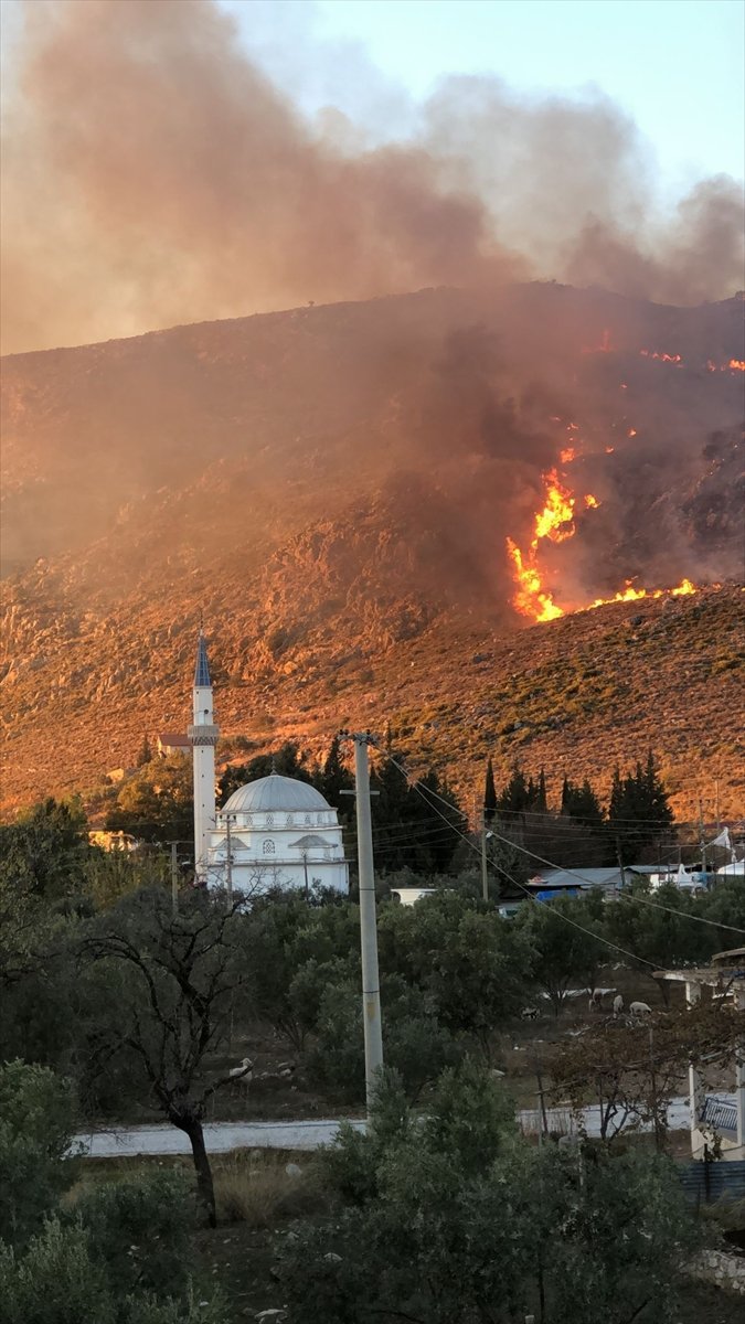 Muğla'da makilik alanda çıkan yangın kontrol altına alındı