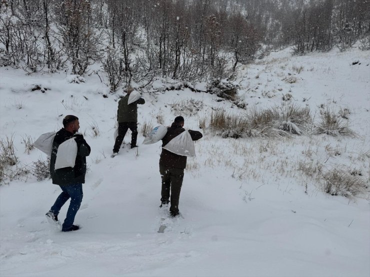 Siirt'te yaban hayvanları için doğaya yem bırakıldı