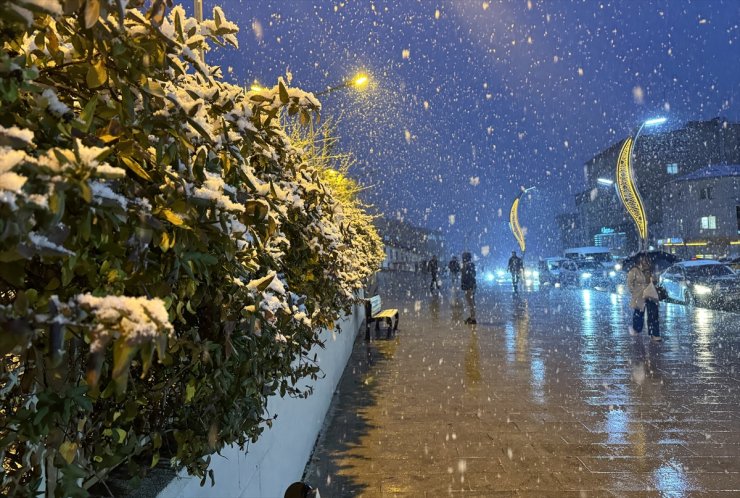 Van ve Hakkari'de kar etkili oldu