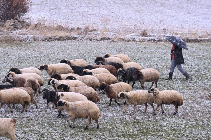 Van, Hakkari, Bitlis ve Muş'ta 283 yerleşim yerine ulaşım sağlanamıyor