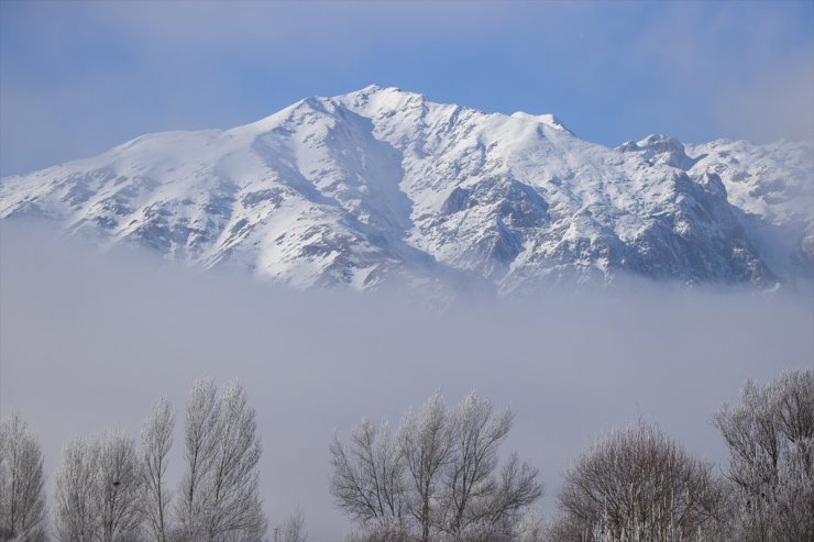 Tunceli'de dağları sis, ovalardaki ağaç ve bitkileri ise kırağı kapladı