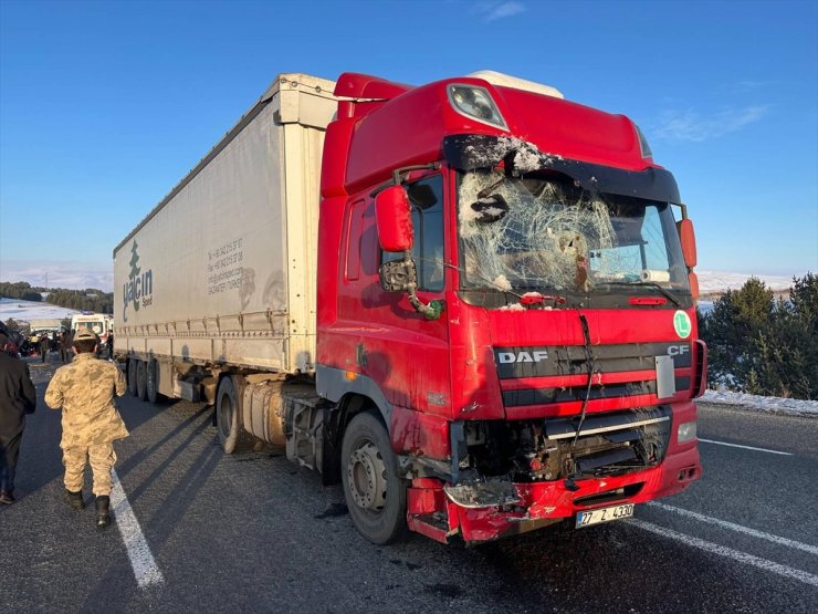 Ardahan'da büyükbaş hayvan yüklü kamyonet ile tırın çarpıştığı kazada 3 kişi yaralandı