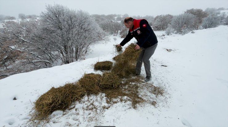 Erzincan'da yabani hayvanlar için karla kaplı arazilere yem bırakıldı