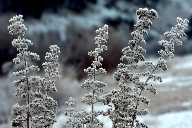 Erzurum, Ardahan ve Kars'ta soğuk hava etkisini sürdürüyor