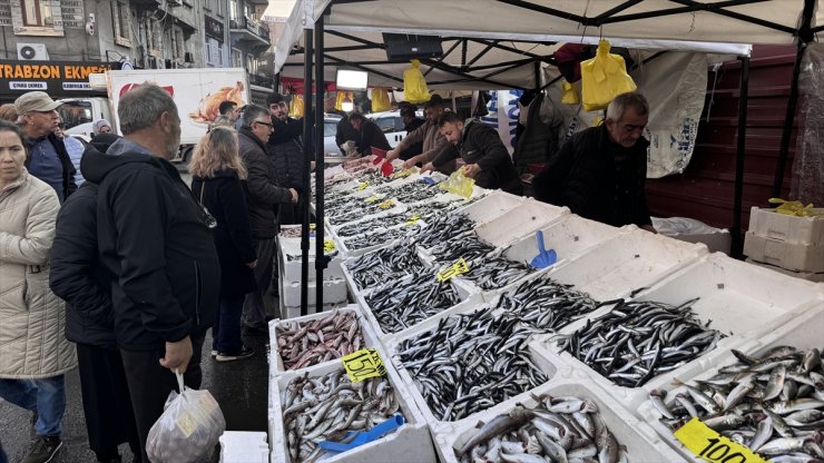 Zonguldak'ta balık tezgahlarında bolluk yaşanıyor