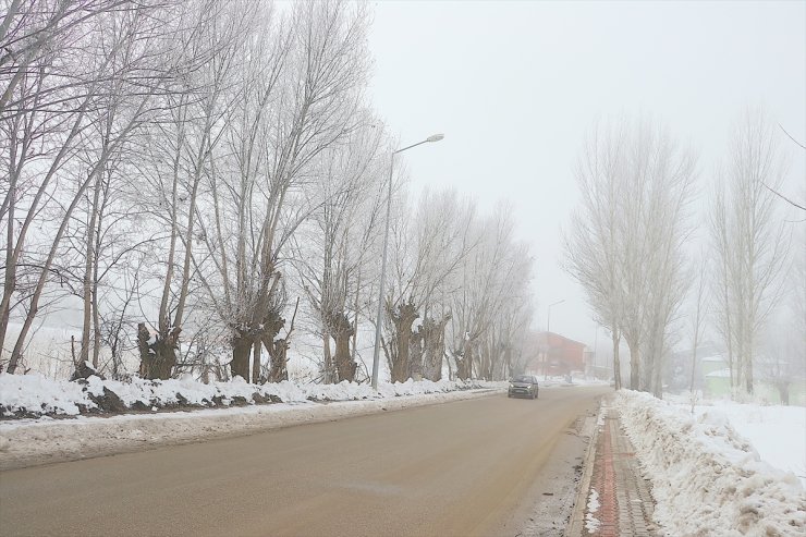 Bayburt'ta soğuk hava ve sis etkili oldu