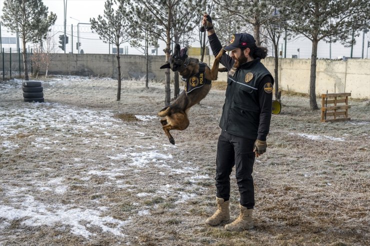 Narkotik dedektör köpeği "Şila", gizlenen pirinç tanesi kadar maddeyi dahi buluyor