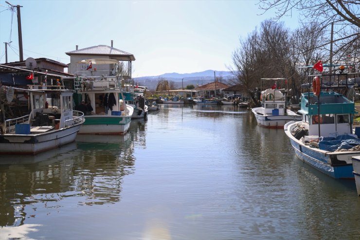 Sakarya'da balıkçılar, Karadeniz'den bol miktarda barbun ve istavritle döndü