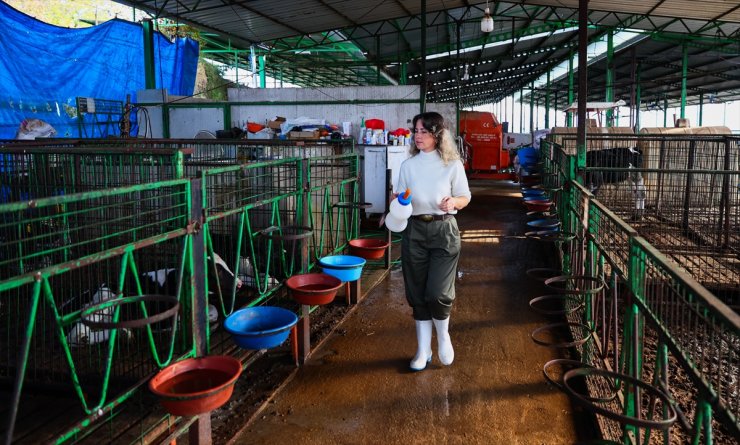 Karnındaki bebeğini salgından korumak için gittiği kırsalda yeni hayat kurdu