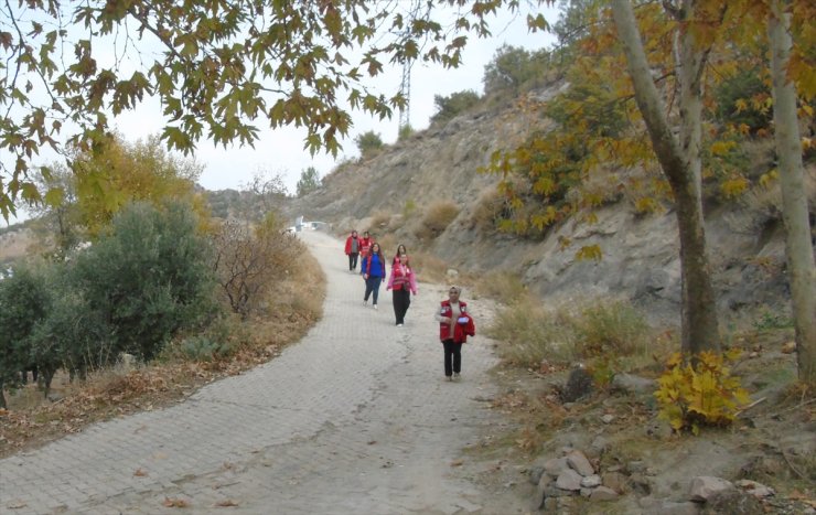 Kızılay gönüllüleri yaşlı kadının zeytin hasadını yaptı