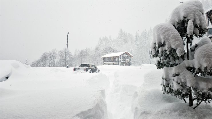 Doğu Karadeniz'de kar ve soğuk hava etkili oluyor